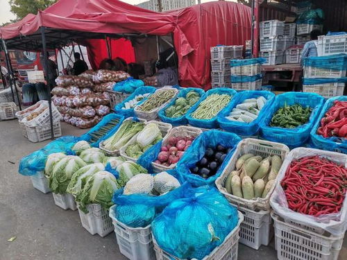 生活記 探訪太原河西農副產品批發(fā)市場——滿載而歸的零食尋味之旅