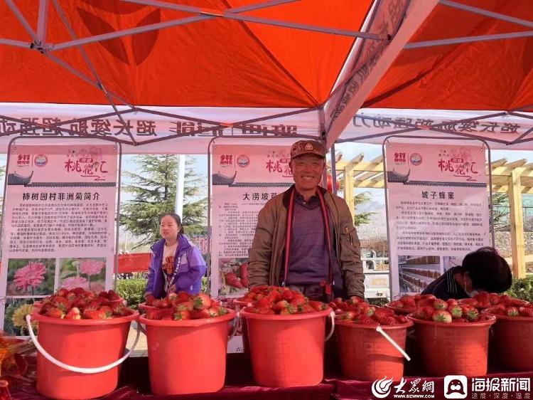 2023·莒南縣澇坡鎮(zhèn)桃花匯今日盛大開幕 桃花經(jīng)濟帶動谷物銷售雙豐收
